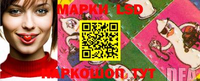 mdpv Малоярославец