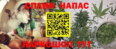 mdpv Малоярославец
